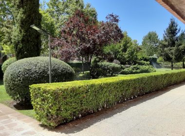 Mantenimiento-jardines